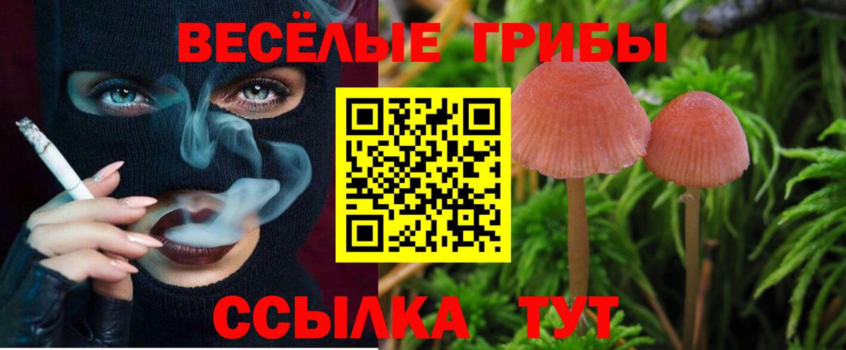 Галлюциногенные грибы MAGIC MUSHROOMS  Вход с VPN  Галлюциногенные грибы мицелий  Гулькевичи 